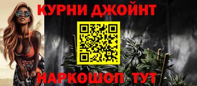 гидра Кингисепп