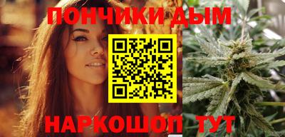 гидра Кингисепп