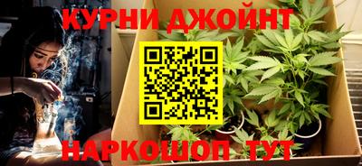 гидра Кингисепп