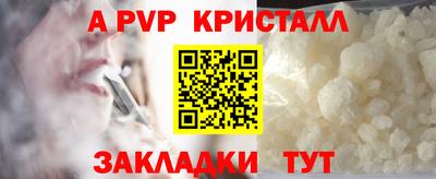 гидра Кингисепп