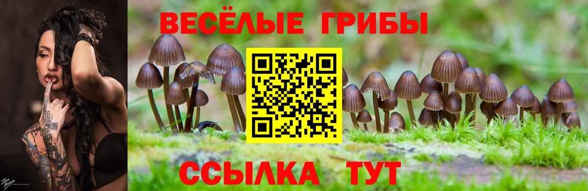 Коломна  Псилоцибиновые грибы Magic Shrooms  Вход с VPN 